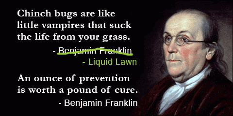 ben franklin lawn care quote