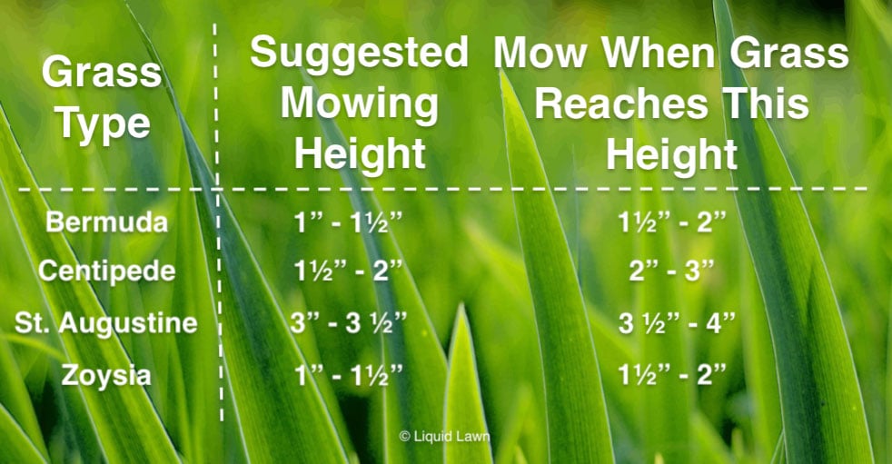 Mowing Heights What Height Do I Mow My Lawn Liquid Lawn