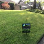 Photo - street view of a lawn that just had a weed treatment in Warner Robins. This lawn is emerald zoysia and is dark green and weed free thanks to our weed control program in Warner Robins.