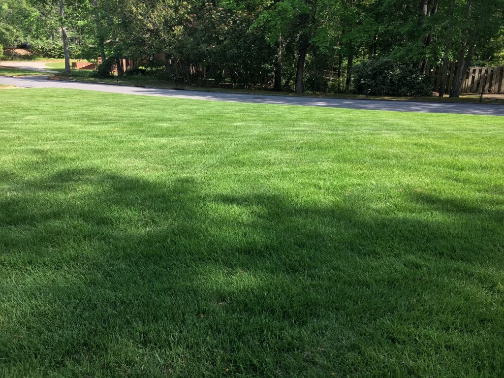 Liquid Lawn treatment Weed Control & Fertilization Macon Serve
