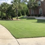 TifTuf Bermuda Lawn Care Macon / Warner Robins