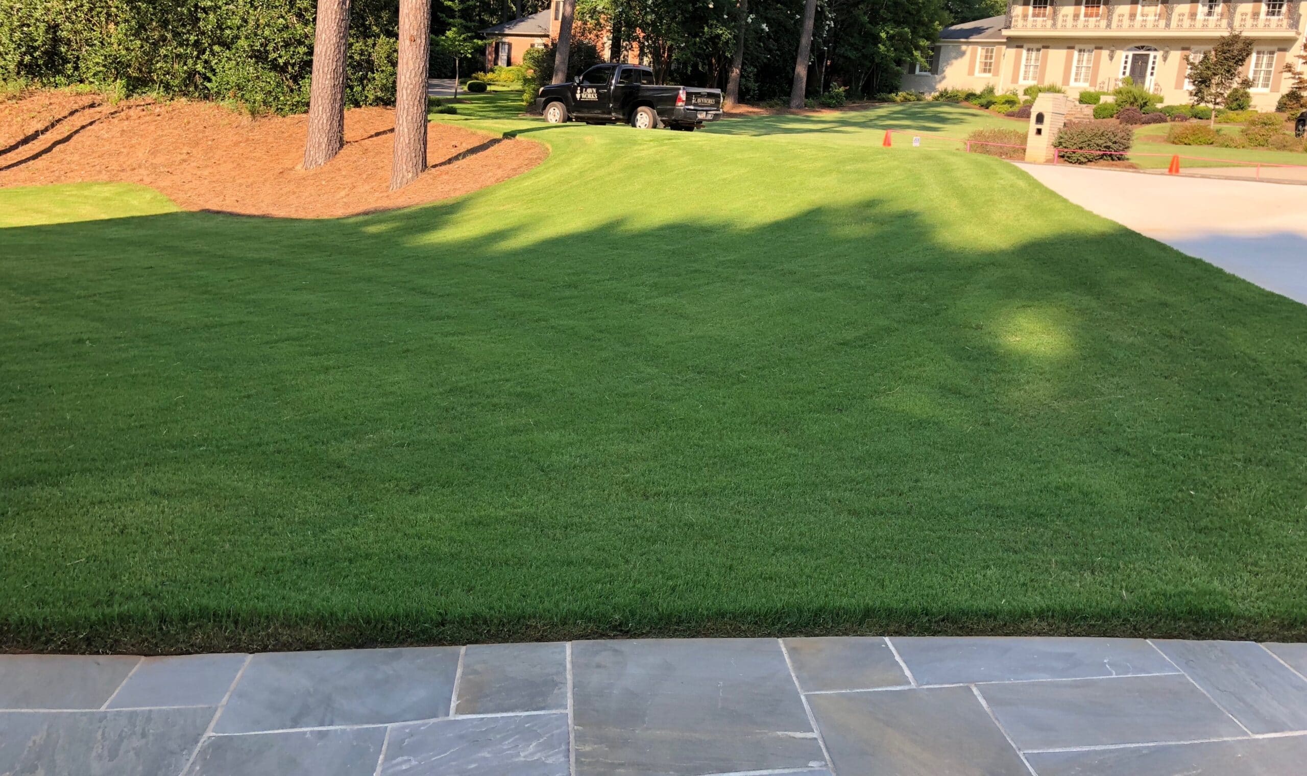 How To Care For Bermuda Grass In Macon Warner Robins Liquid Lawn All 