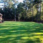 Zenith Zoysia Lawn Care Macon / Warner Robins