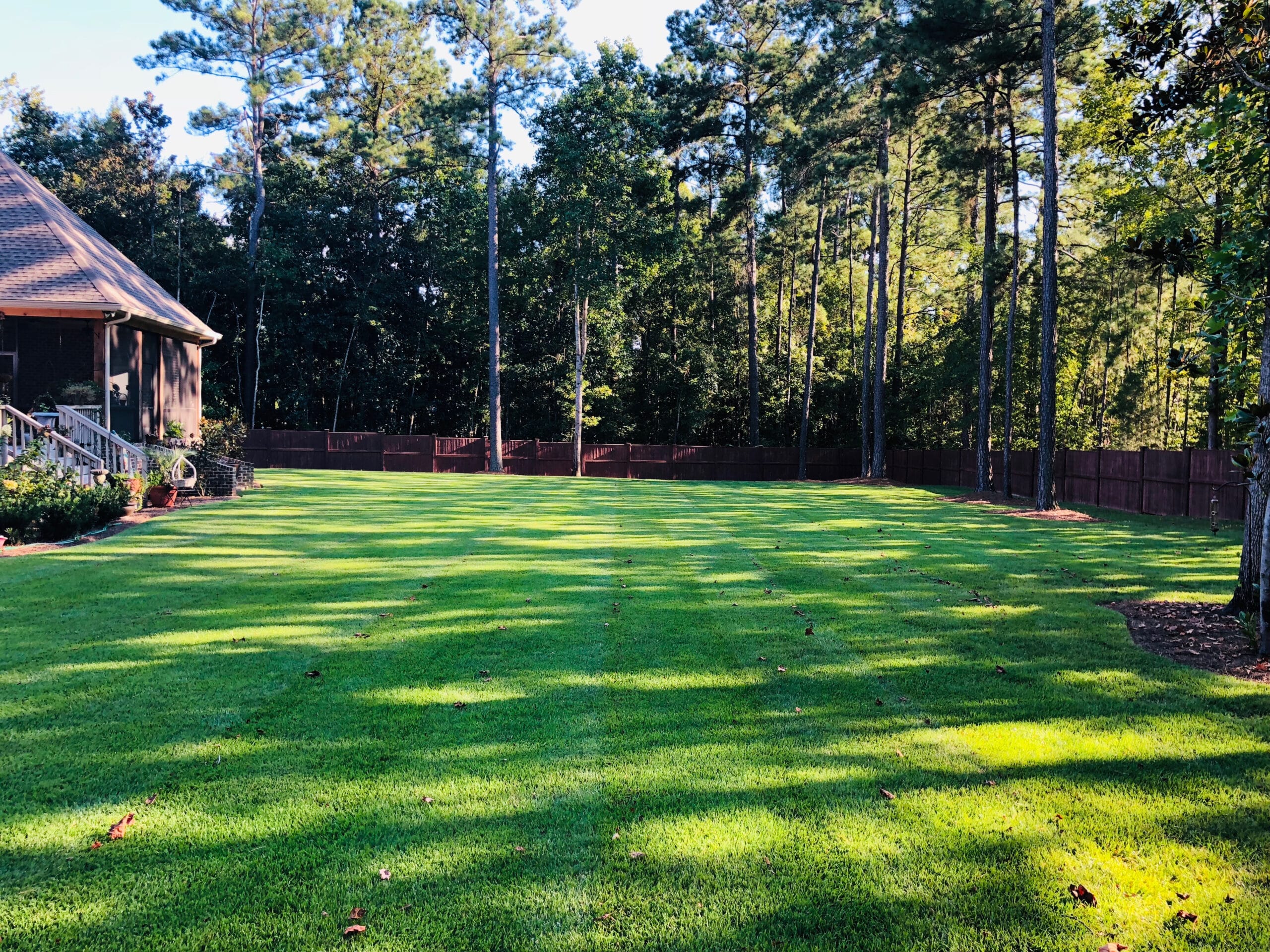 Zoysia Grass Liquid Lawn How To Care For Zoysia Grass Zoysia Grass Liquid Lawn How To Care For Zoysia Grass