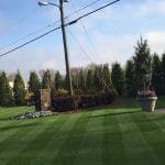 Zoysia Lawn Care Macon / Warner Robins