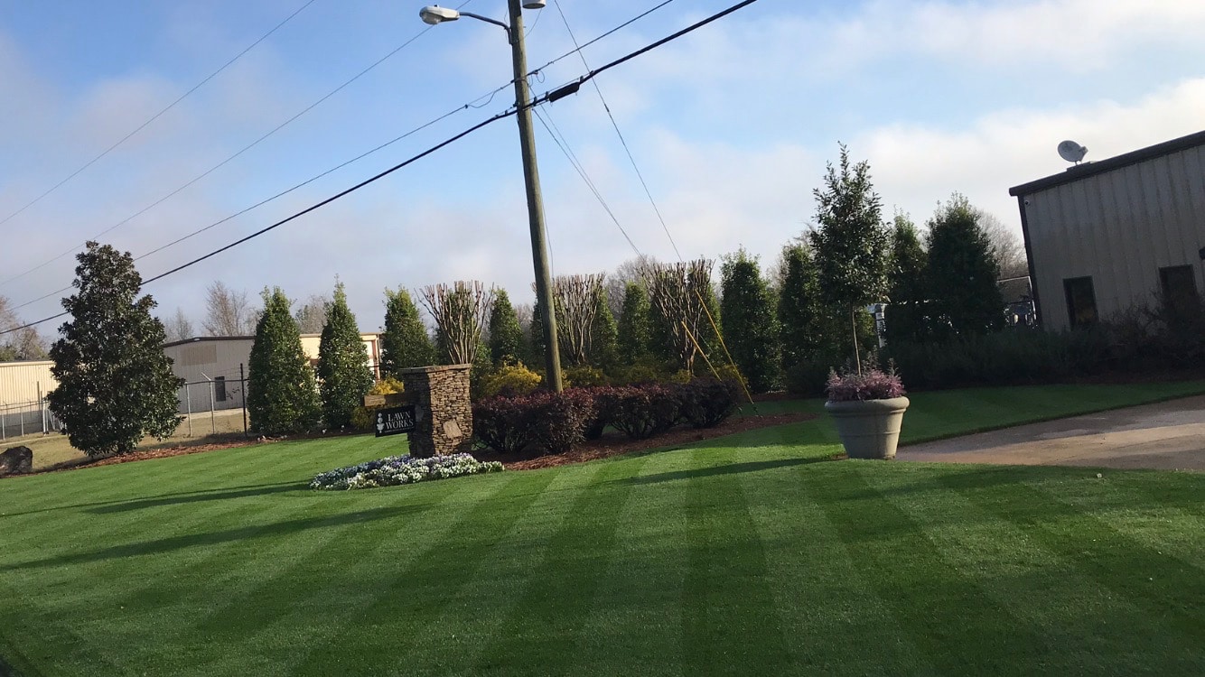 Zoysia Lawn Care Macon / Warner Robins