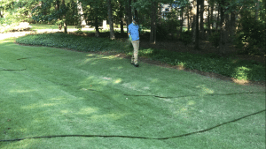 fertilizer in macon and warner robins Photo of lawn tech applying liquid fertilizer to a lawn in the macon and warner robins area.