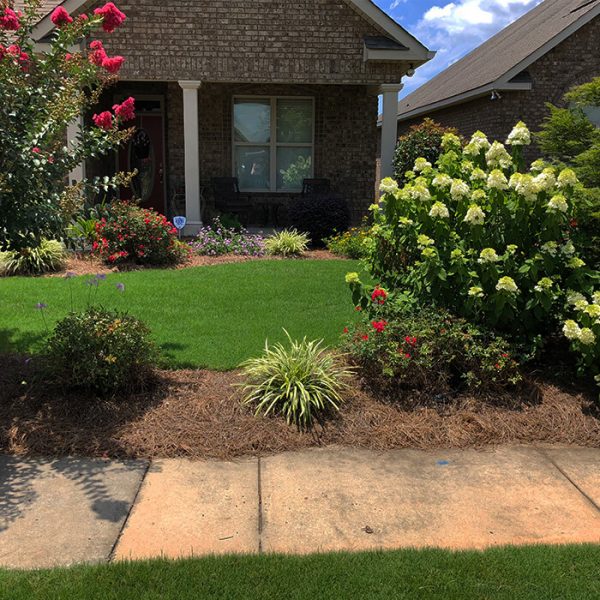 Ormond Beach/ Port Orange 24.95 First Treatment Special Liquid Lawn