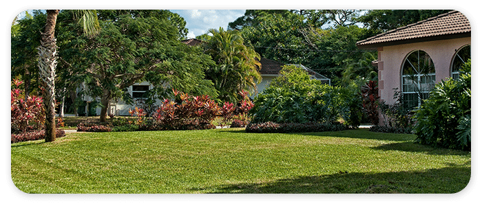 CTA 1 Lawn Care Services