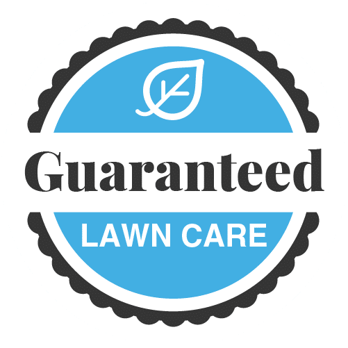 Trusted Lawn Care Experts