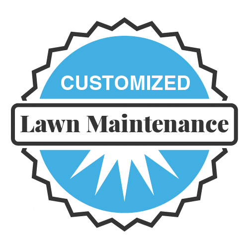 Customized Lawn Maintenance