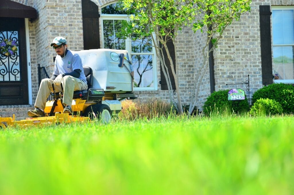 Why You Should Choose Professional Weed Control Service Over DIY