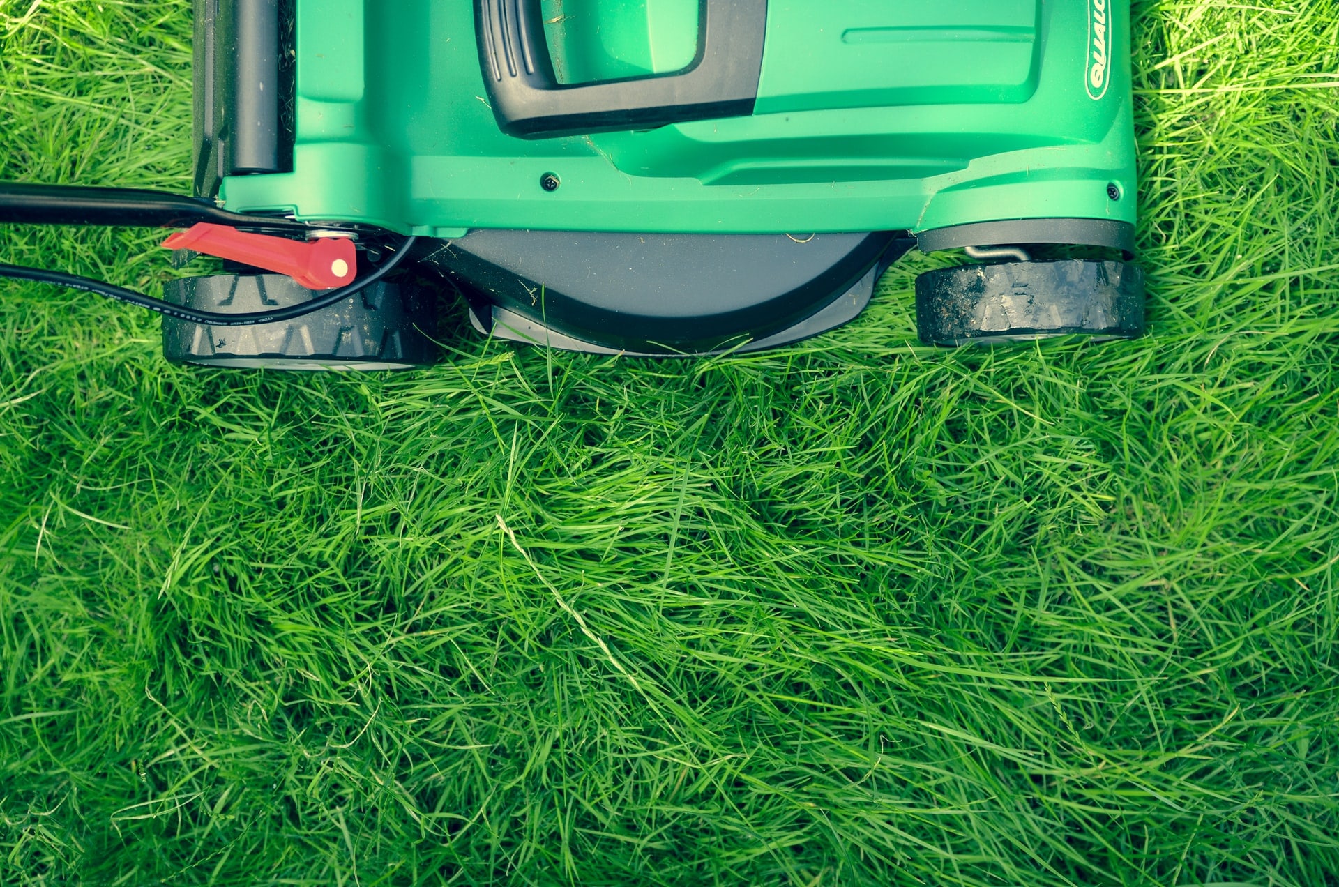 Summer Lawn Care