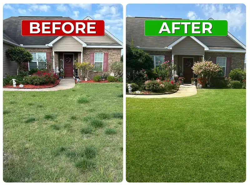Before and after weed control lawn result 2