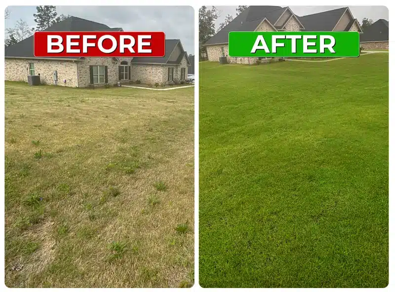 Before and after weed control lawn result 4