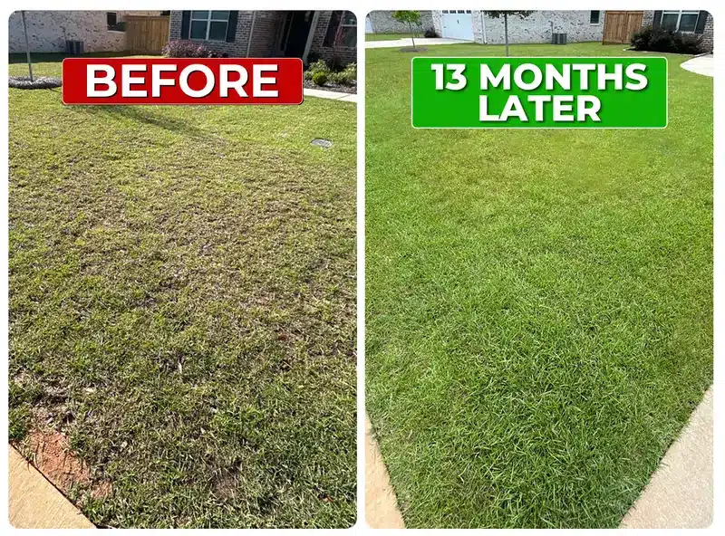 Lawn before and 13 months later with Liquid Lawn weed control