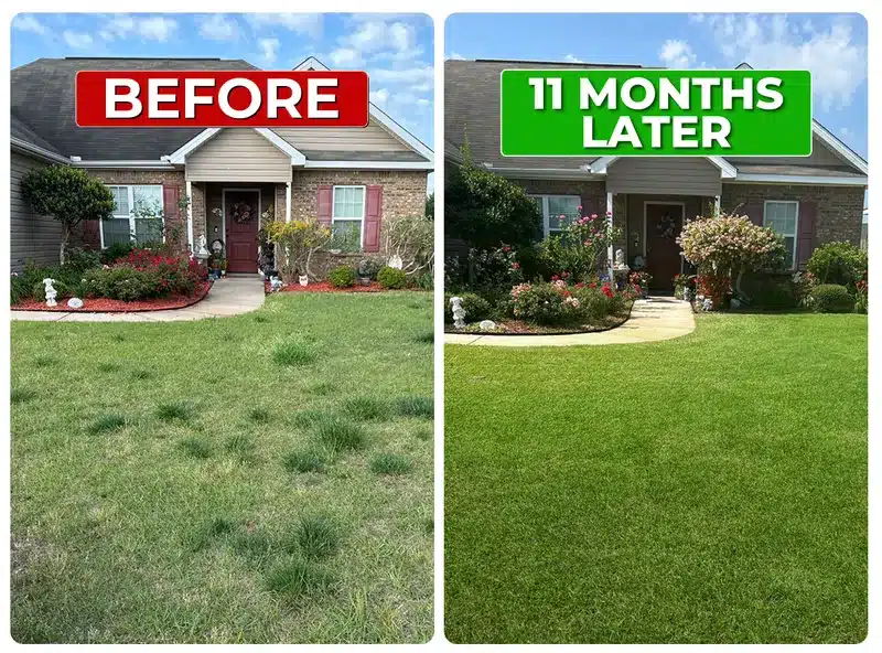 Lawn before and 11 months later with Liquid Lawn weed control