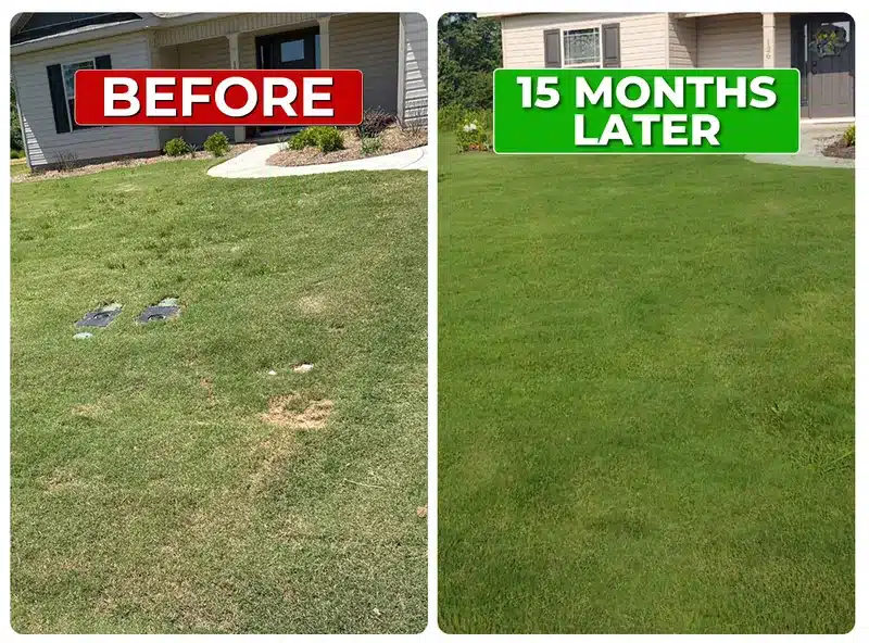 Lawn before and 15 months later with Liquid Lawn weed control