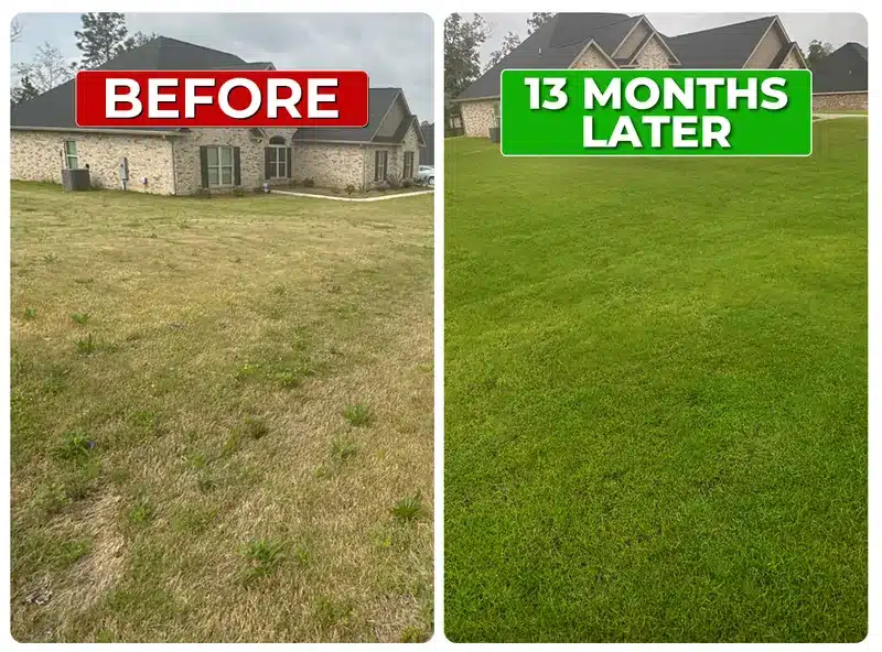 Lawn before and 13 months later with Liquid Lawn weed control