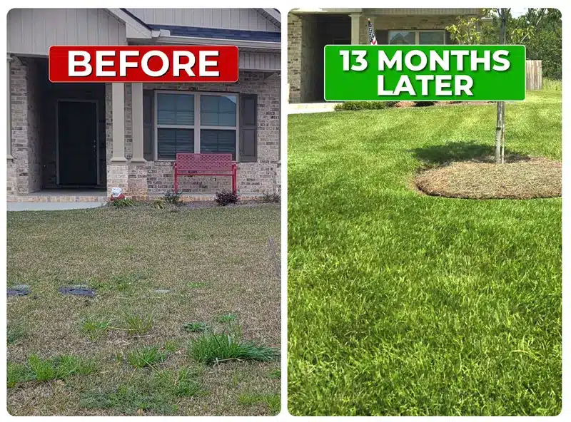 Lawn before and 13 months later with Liquid Lawn weed control