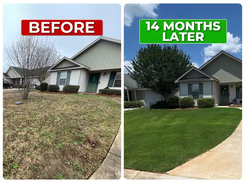 Lawn before and 14 months later with Liquid Lawn weed control