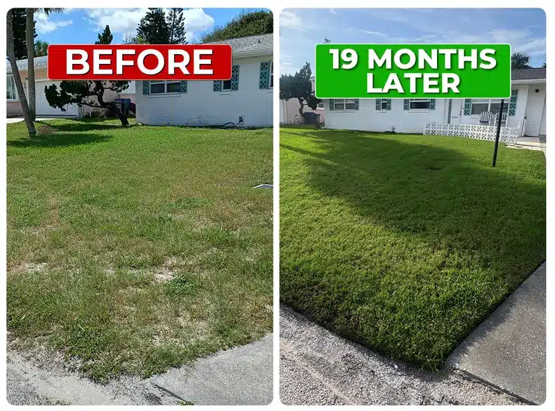 Lawn before and 19 months later with Liquid Lawn weed control