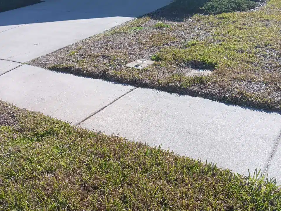 First treatment - lawn progress photo, December 15, 2024