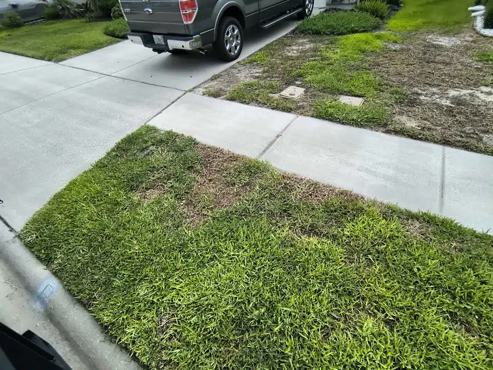Fourth treatment - lawn progress photo, April 11, 2025