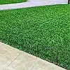 Lawn photo from Brian Porter's review