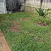 Lawn photo from Robin Miller's review