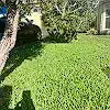 Lawn photo from Gary Duce's review