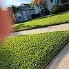 Lawn photo from Dennis Egatz's review