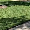 Lawn photo from Minton Williams's review